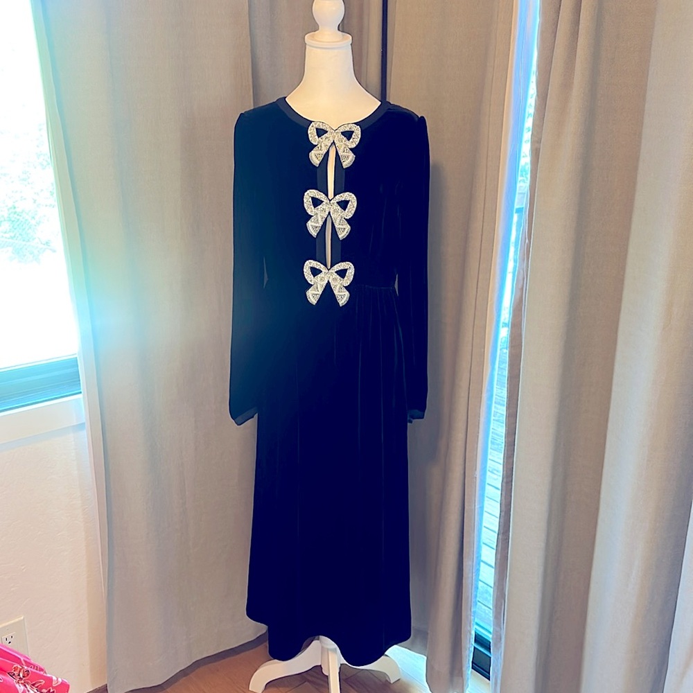 NWT Saloni velvet dress